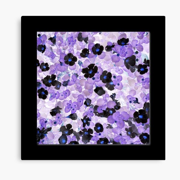 Purple & Black Flowers - Sutera Cordata Canvas Print