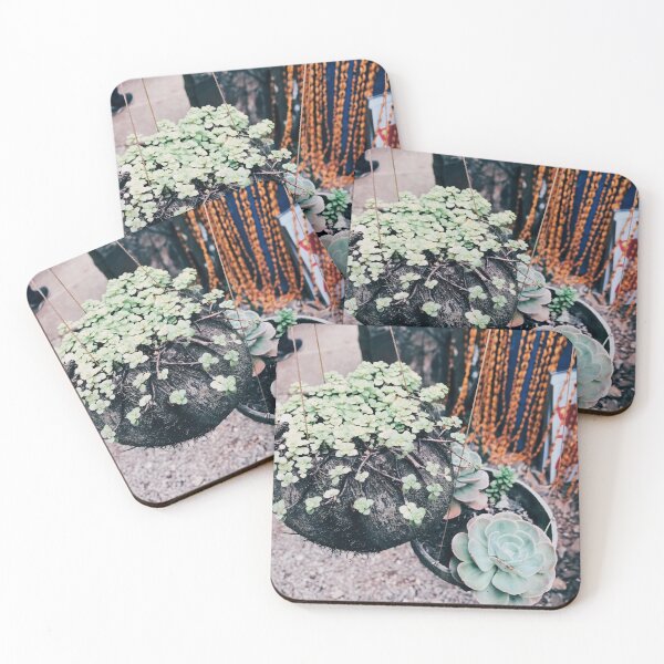 Item preview, Succulents designed and sold by DanielaMaria02.