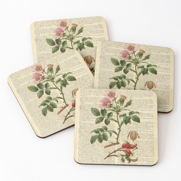 Item preview, Botanical print, vintage page - Dog Roses designed and sold by Art by Lilia.