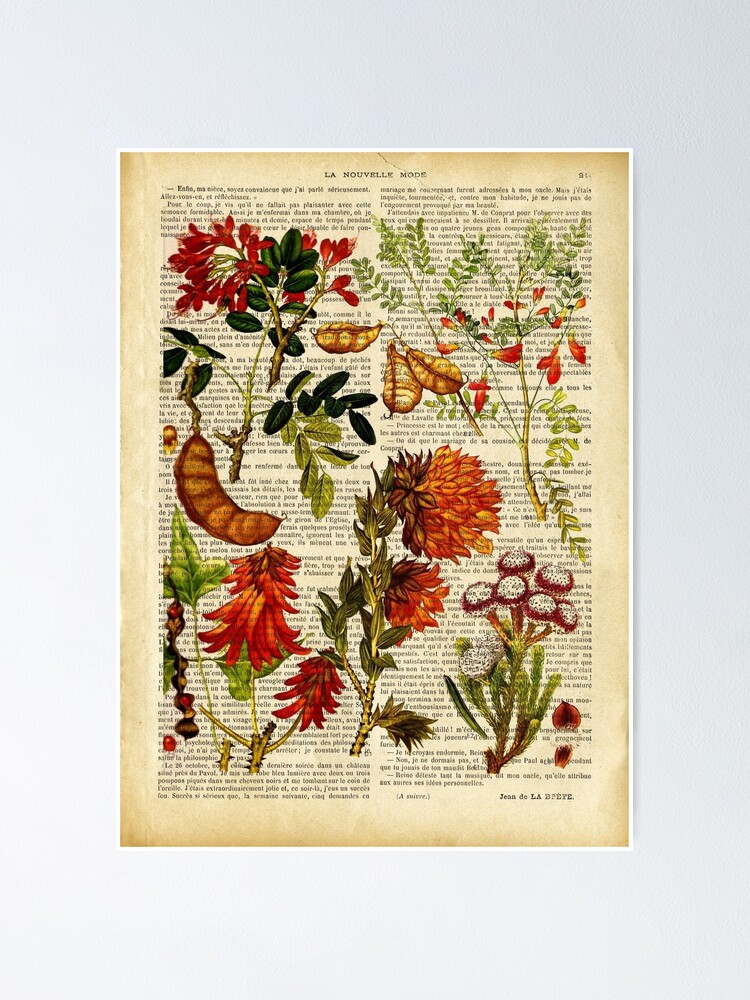 Botanical print, on old book page - garden flowers Poster for Sale by Art  Dream Studio