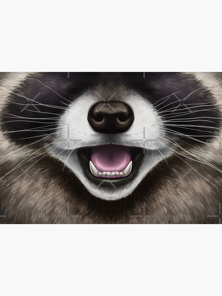 Raccoon Face  by SidianArts