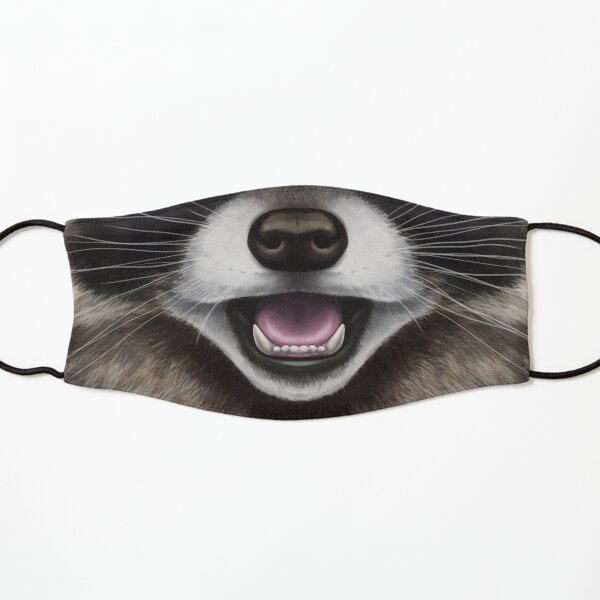 Raccoon Face Kids Mask