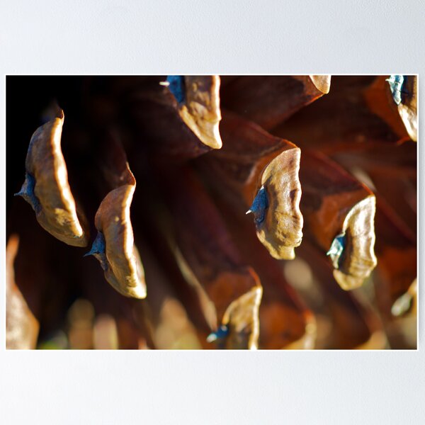 Item preview, Coned  designed and sold by D-GaP.