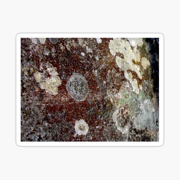 Item preview, Window into the Universe - Nature's Abstract designed and sold by Marilyn Harris.