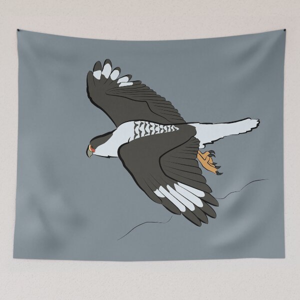 Item preview, Southern Crested Caracara designed and sold by fuzzytapir.