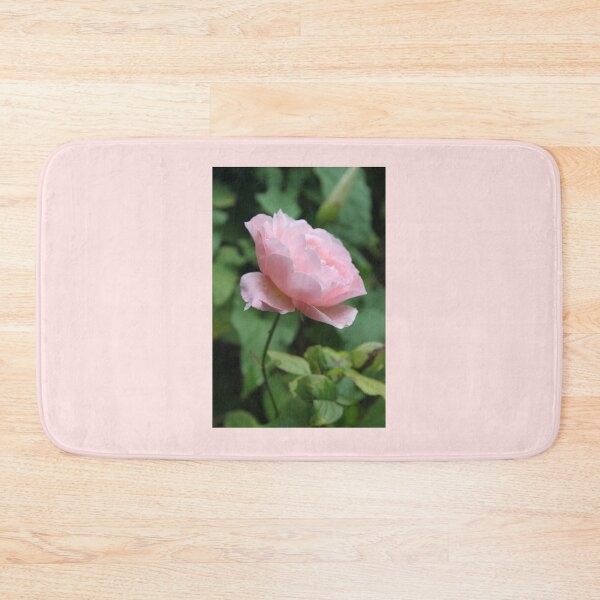 Item preview, Pink rose designed and sold by Emma  Amies.