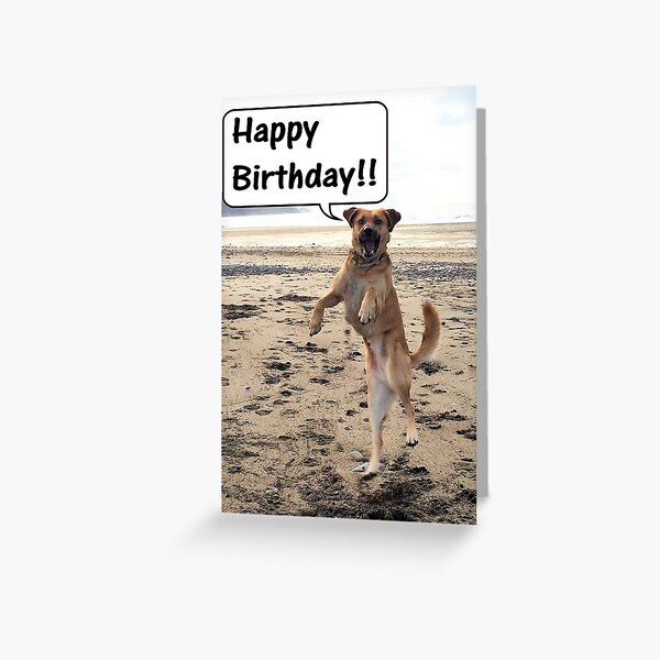 Happy Dog - Happy Birthday Greeting Card