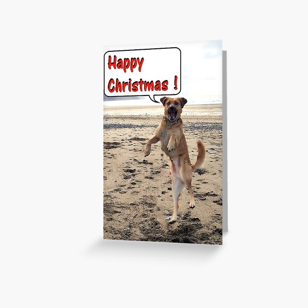 Happy Dog - Happy Christmas Greeting Card
