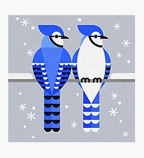 J is for Jay 2 Photographic Print