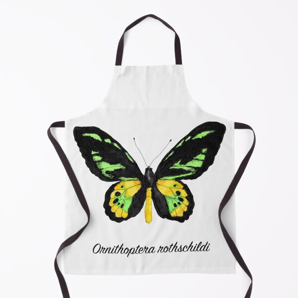 Item preview, Rothschild's Birdwing Butterfly Specimen designed and sold by JillyBeanDesign.