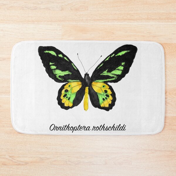 Item preview, Rothschild's Birdwing Butterfly Specimen designed and sold by JillyBeanDesign.
