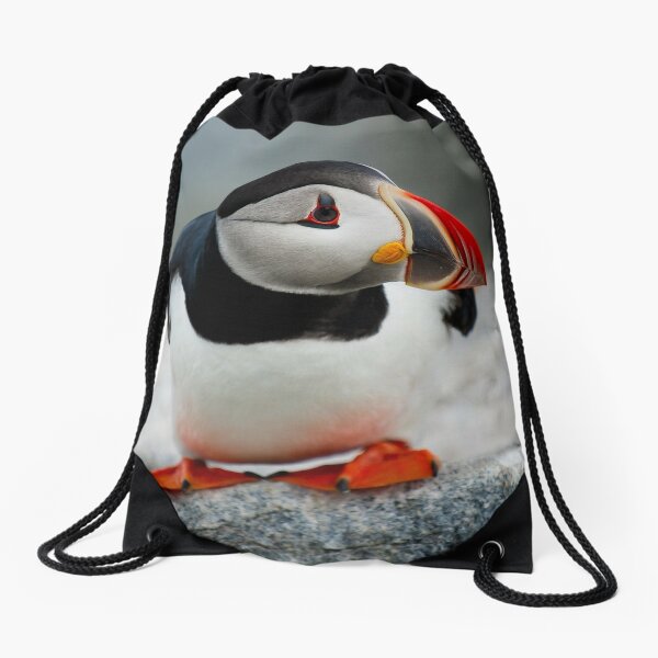 Drawstring Backpack Puffins Bags