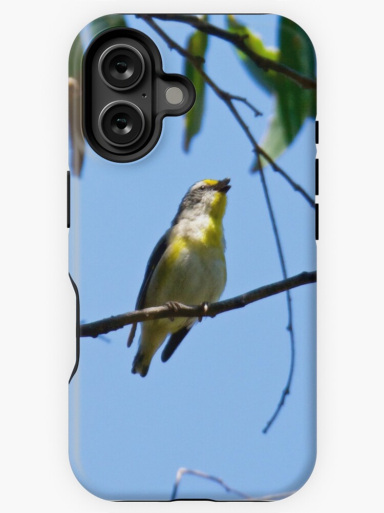 Thumbnail 1 of 4, iPhone Case, PARDALOTE ~ Striated Pardalote vb2tfUNR by David Irwin designed and sold by tasmanianartist.