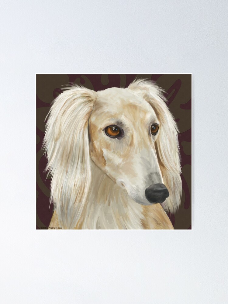 Poster for Sale avec l'œuvre « Magnifique chien de Saluki de
