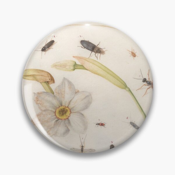 Item preview, Animalia Rationalia et Insecta (Ignis): Plate LXXIV designed and sold by Midnight Swim.