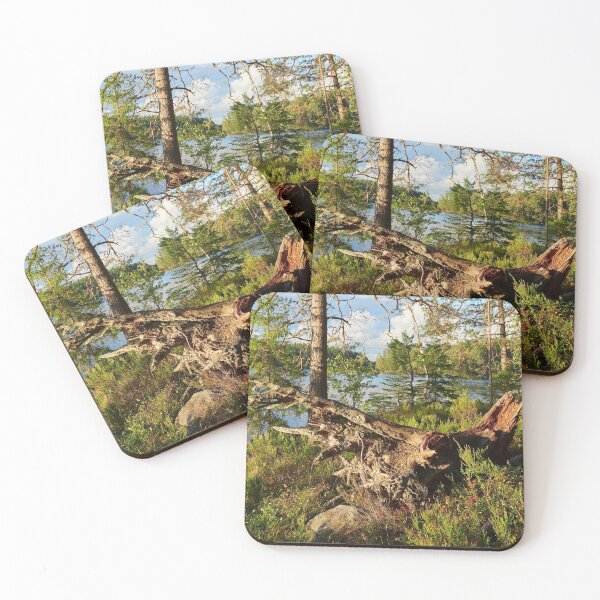Item preview, Dead wood groving. Teijo National Park designed and sold by Jouko Lehto Photography.