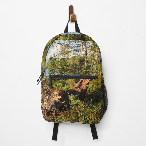 Item preview, Dead wood groving. Teijo National Park designed and sold by Jouko Lehto Photography.