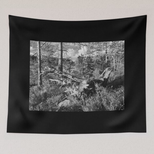 Item preview, Dead wood groving. Teijo National Park designed and sold by Jouko Lehto Photography.
