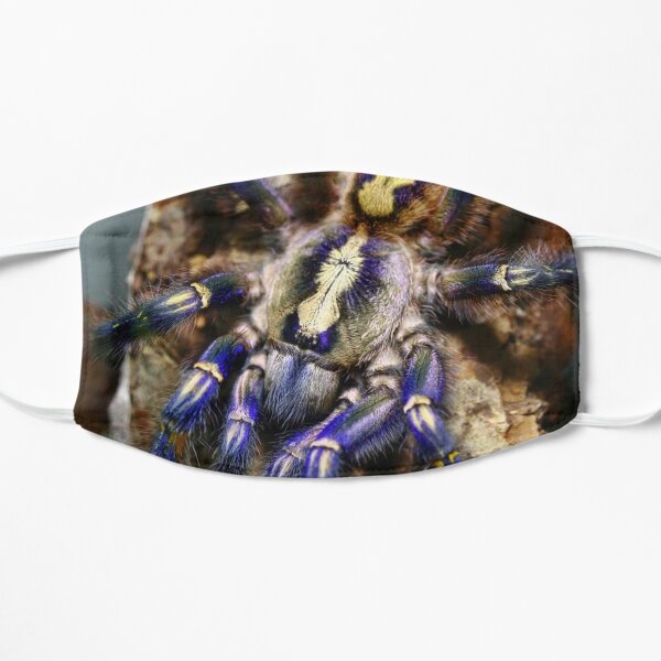 P. Metallica Tarantula Merch Mask