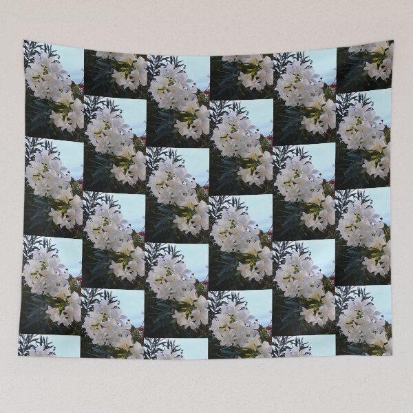 Item preview, White oleander, flowers, nature designed and sold by Sternchen2789.