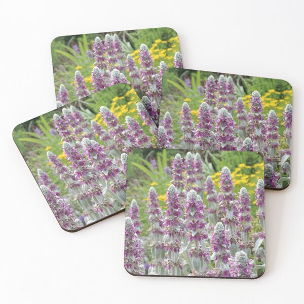 Item preview, Lambs Ear Blooming in the Garden designed and sold by Susie Kramer.