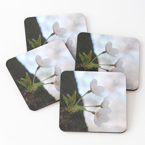 Item preview, SAKURA'S NEW BEGINNING | Flower Season Photo designed and sold by PhotoStory.