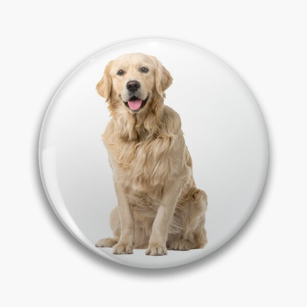 Item preview, Long-Haired Labrador designed and sold by Designs By Creation.