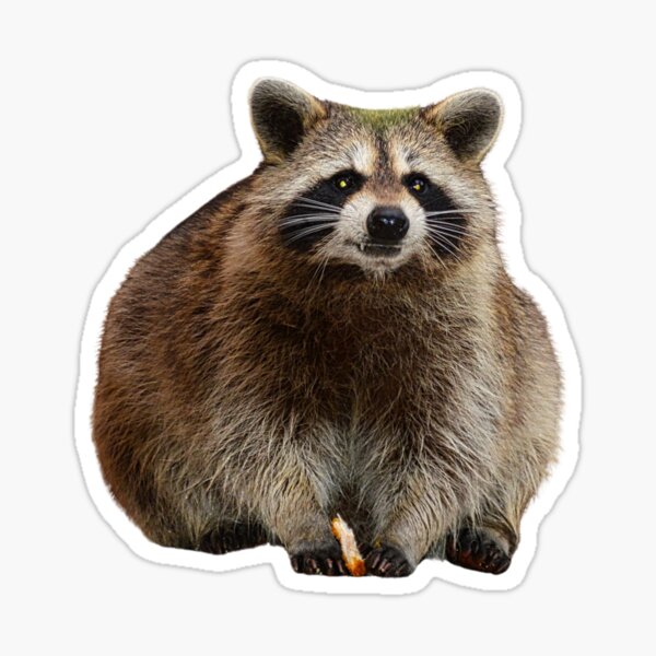 Item preview, Fat Raccoon designed and sold by Richard W J Conyard.