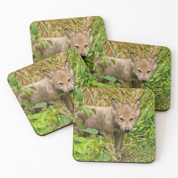 Item preview, Timber Wolf Pup designed and sold by WolvesOnly.