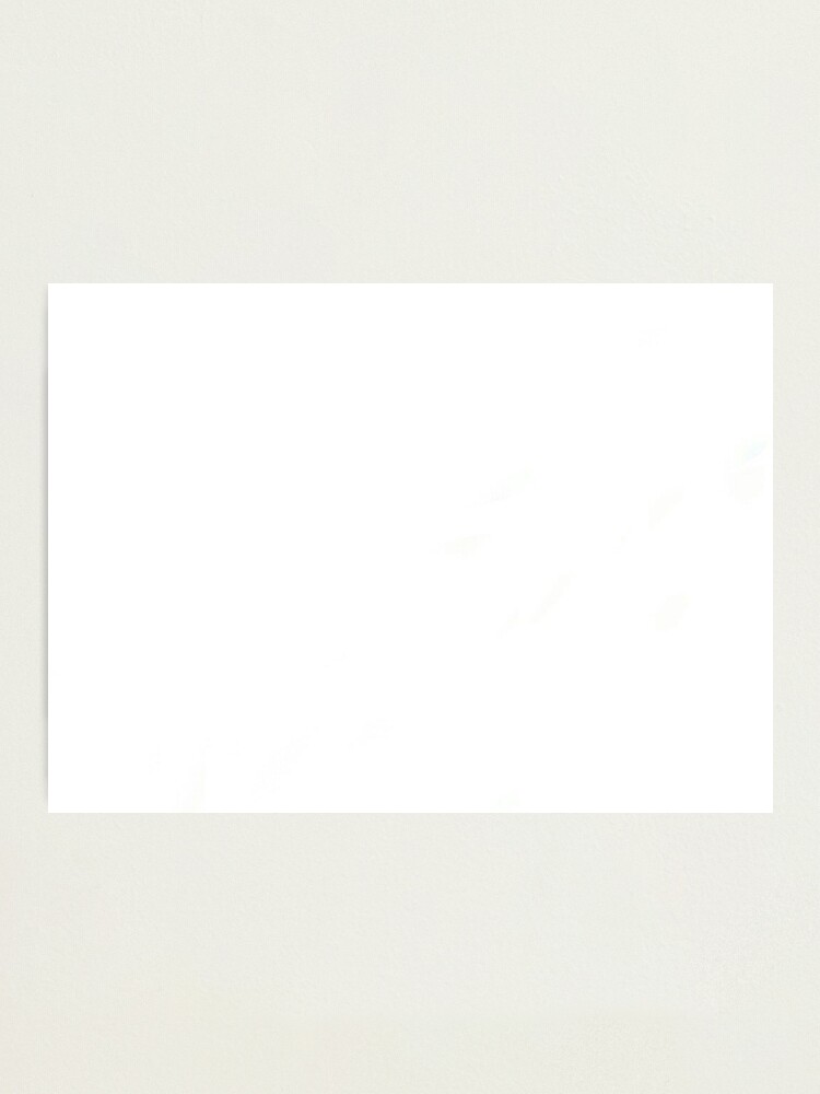 Plain White Background Photographic Print By Dizzydot Redbubble