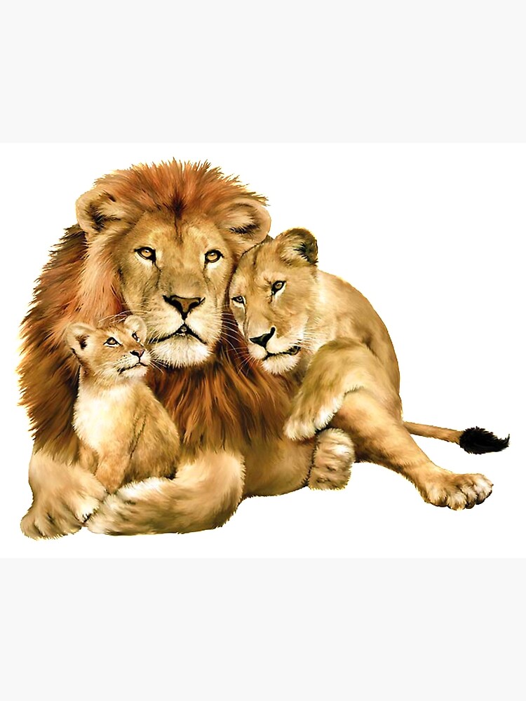 Lion Pride Fathers of Two Cubs Shirt Lion Pride Fathers of 