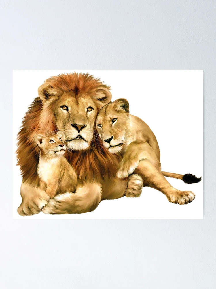 The Pride of Lions