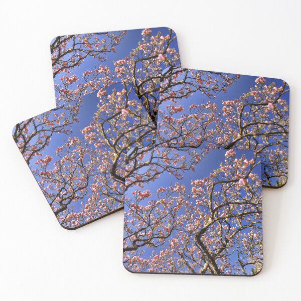 Item preview, Morrab Gardens designed and sold by AntonyMitchell.