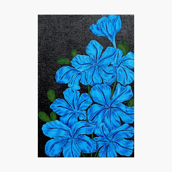 Blue Jasmine (Acrylic Art) Photographic Print