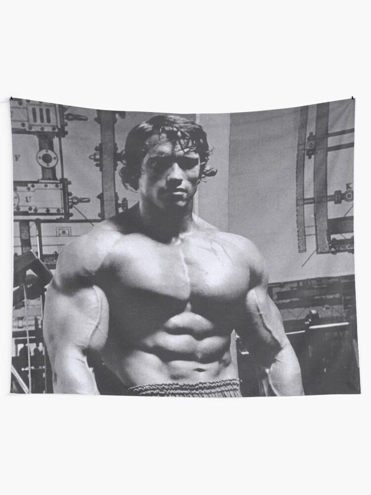 Arnold Schwarzenegger Muscle Sportsman Bodybuilding Fitness Motivational Art Wall Poster Gym Decorative Painting Picture 43x32Inch