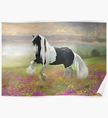 Gypsy Dancer Poster