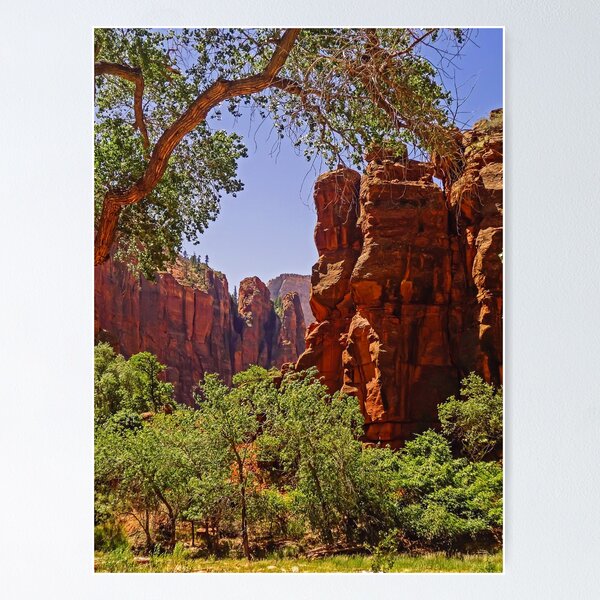 Item preview, Zion National Park - Utah - USA designed and sold by TonyCrehan.
