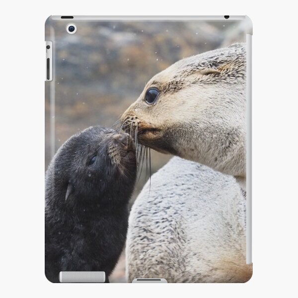 Mother Love iPad Snap Case