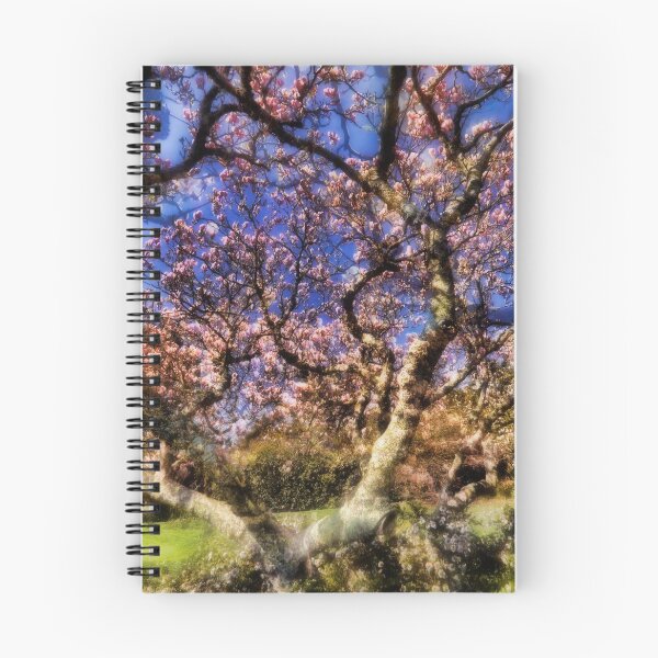 Aperçu de l'œuvre Rêve du jardin de magnolia créée et vendue par AntonyMitchell.
