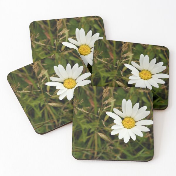 Item preview, Oxeye Daisy designed and sold by C Rose.