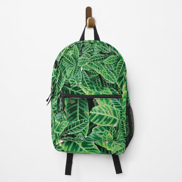 Item preview, Lovely Calathea garden pattern design designed and sold by EarthyPlanty.
