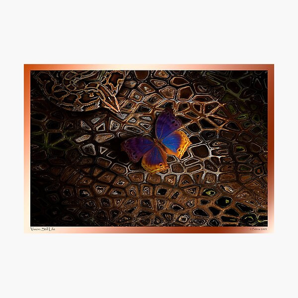 Vision: Still Life Photographic Print