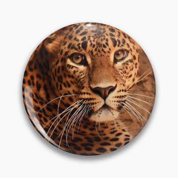 Artikelvorschau, Der Leopard entworfen und verkauft von Tourtite.