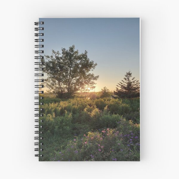 Item preview, A Romantic Sunset in Toronto designed and sold by belvederestore.