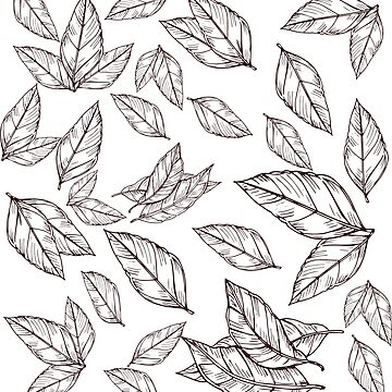Simple Leaves Clip Arts - Simple Hand Drawn Leaf Drawing, HD Png Download -  vhv
