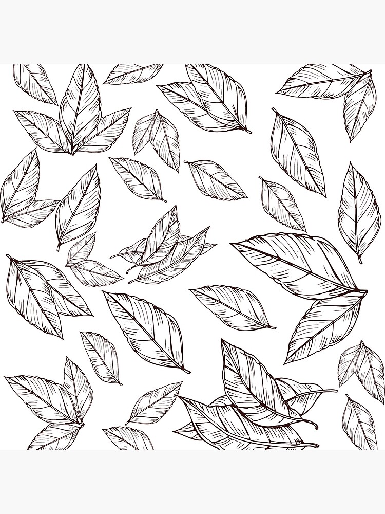 30 Easy Ways to Draw Plants & Leaves | Plant drawing, Plant sketches, Leaf  drawing