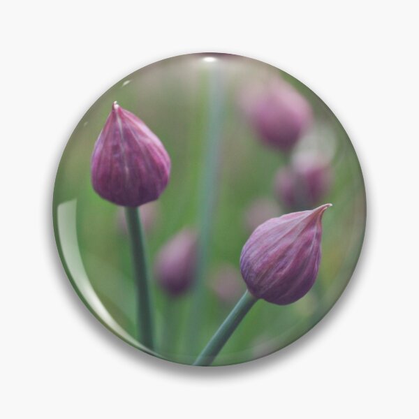 Item preview, Chives. designed and sold by Lyn  Randle.