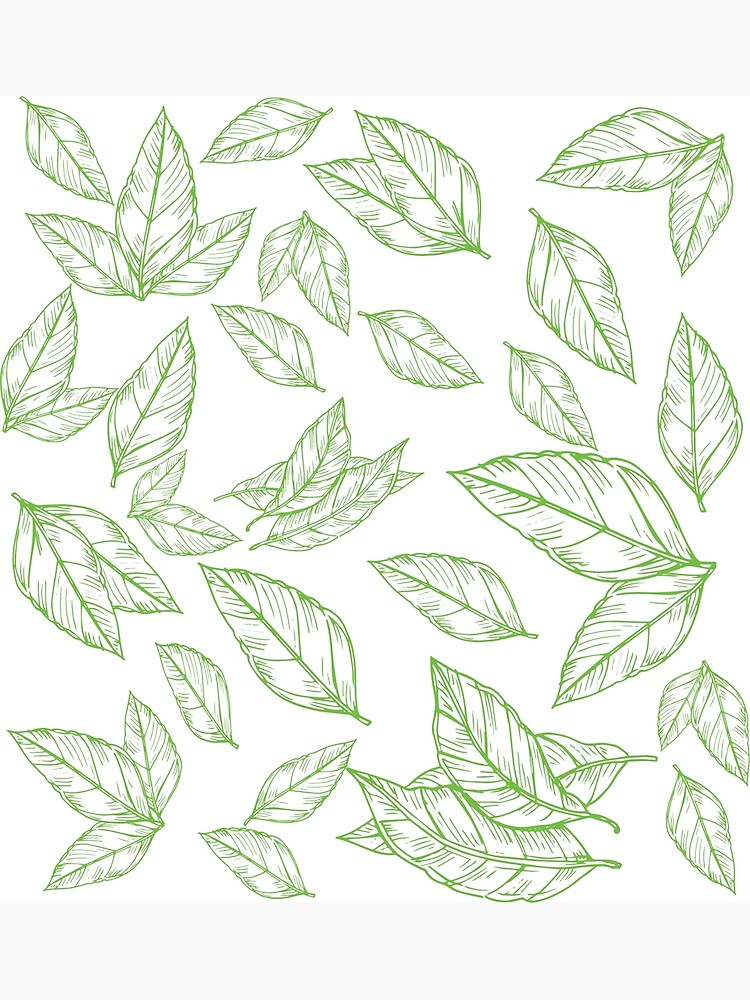 Simple branch leaves hand drawn high quality Vector Image