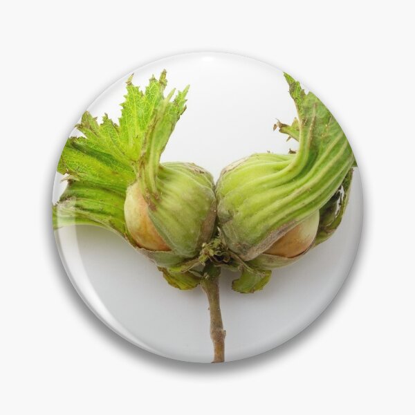 Item preview, Hazelnut designed and sold by troianifabrizio.