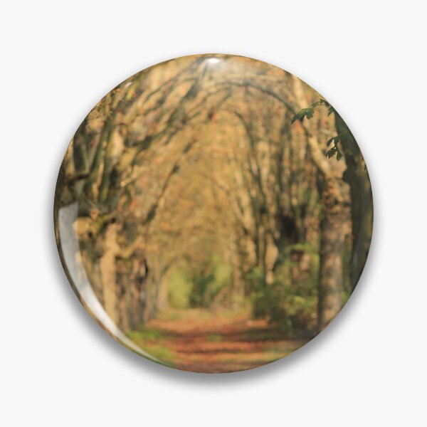 Item preview, Sunset  September Fall Forest Path Autumn vibes designed and sold by Aniyah.